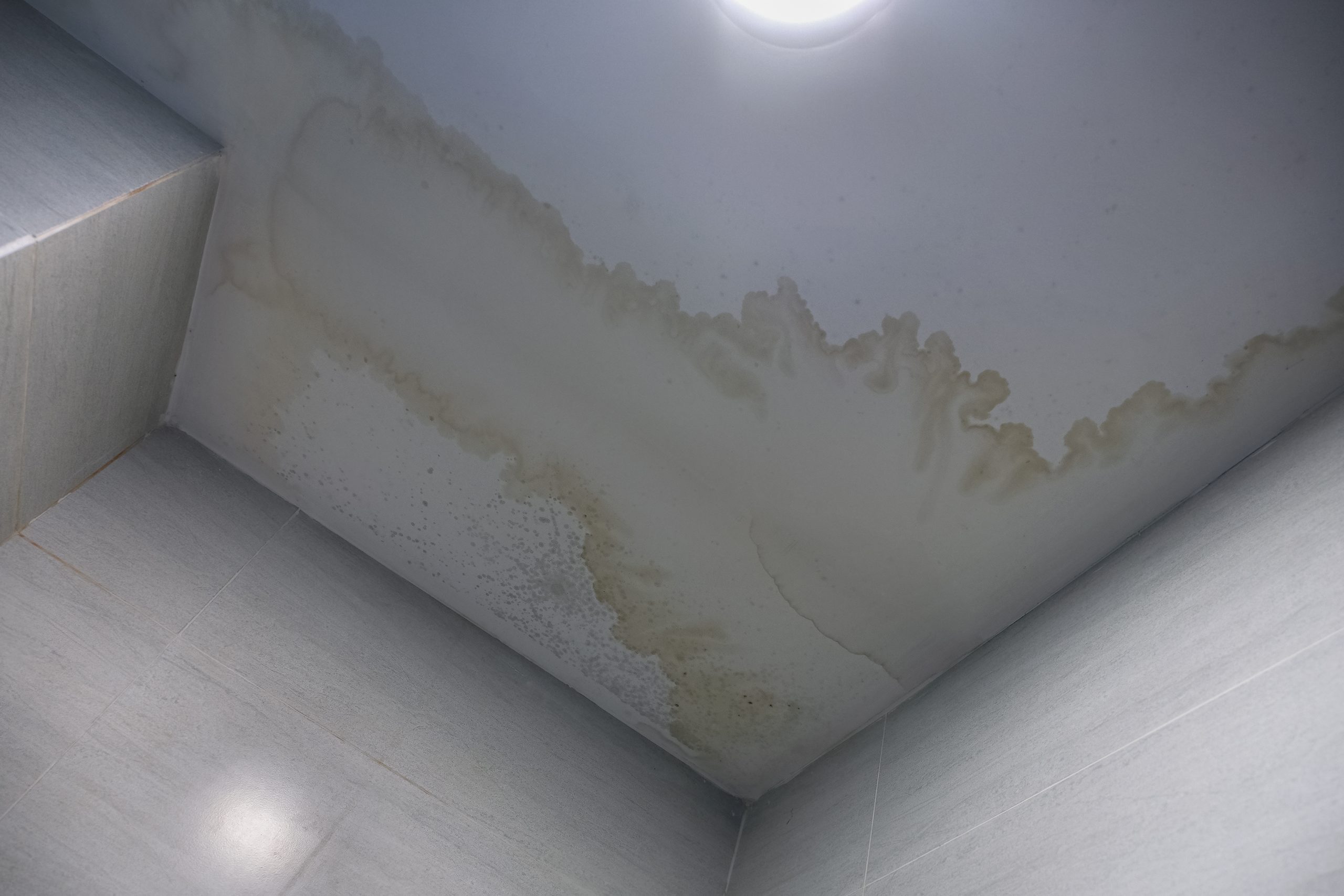 Roof Leaks