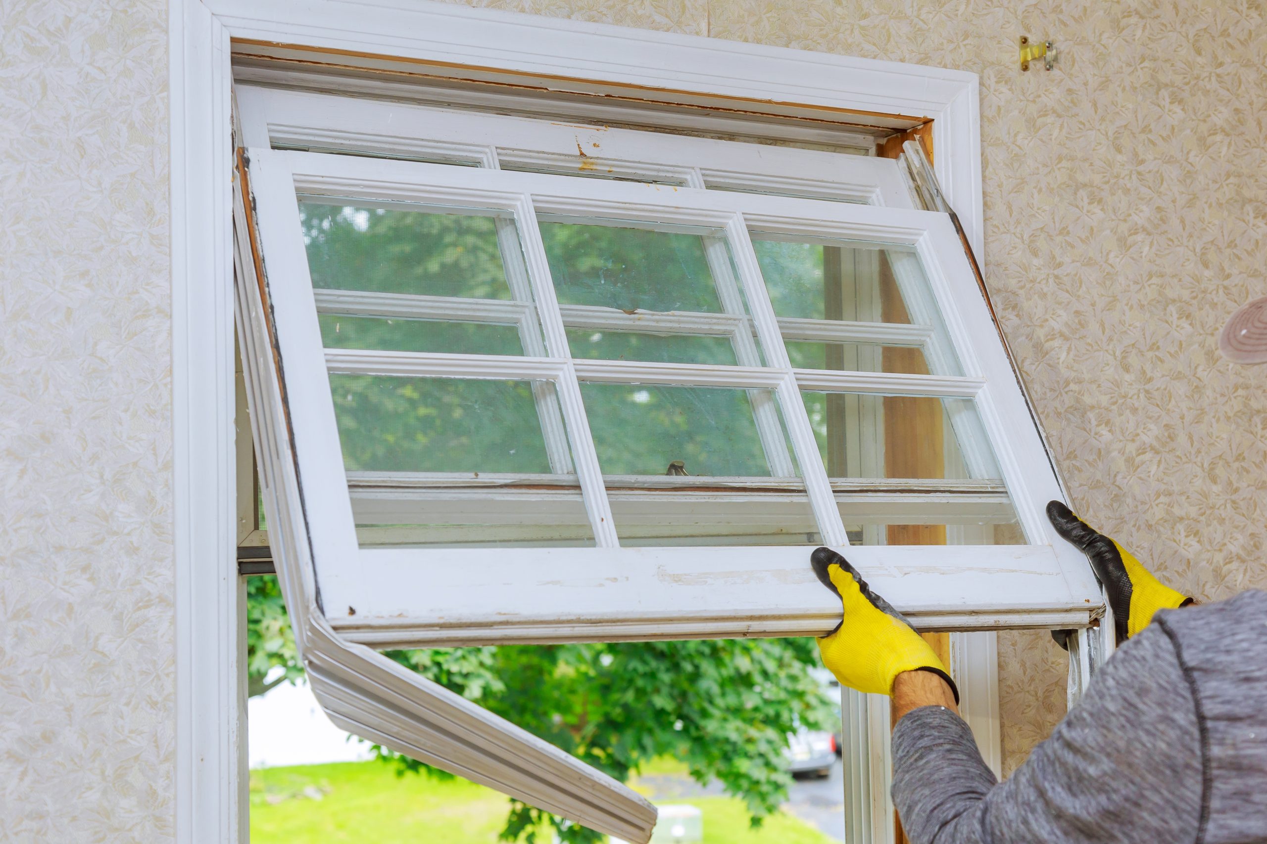 window replacement