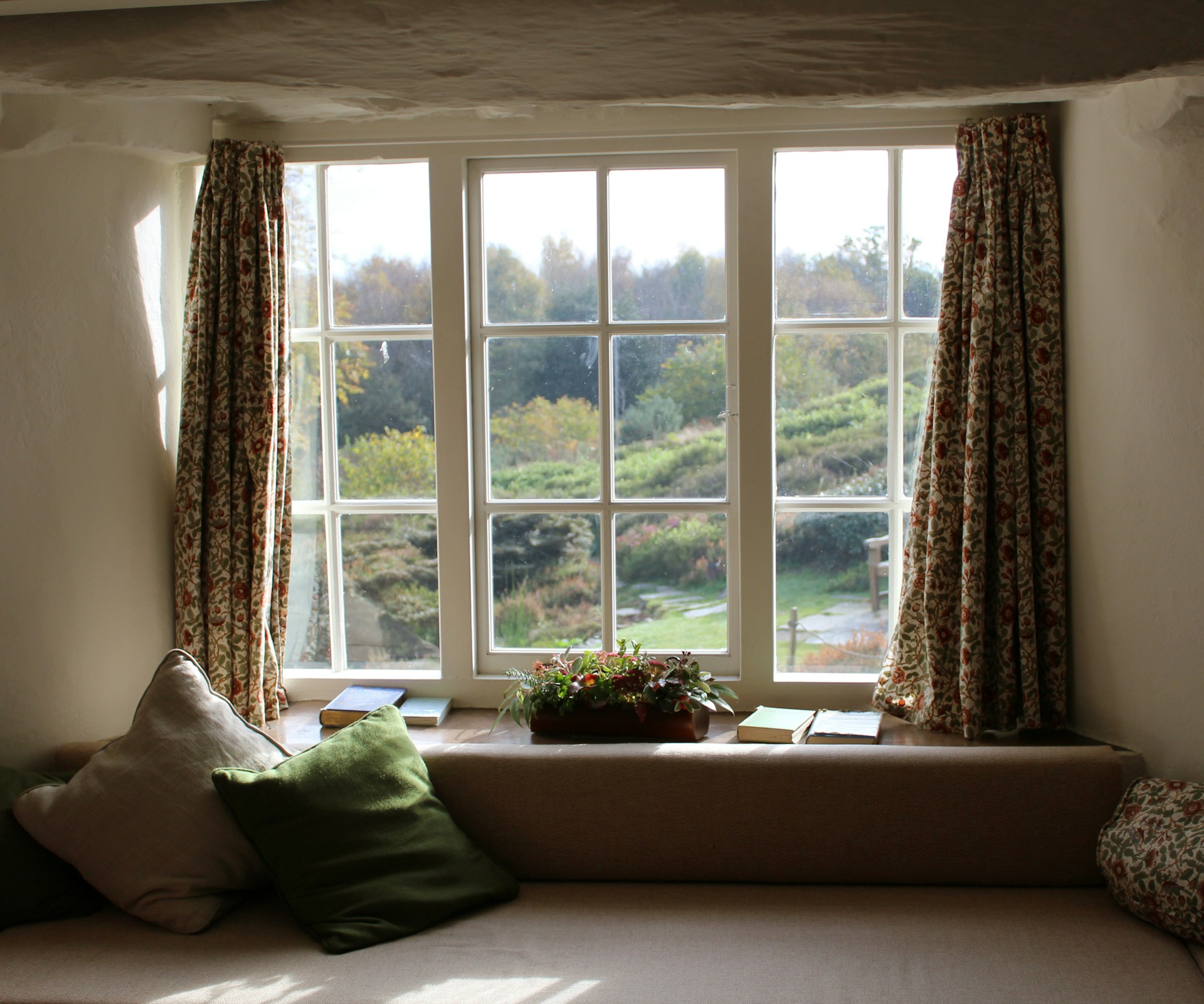 Energy-Efficient Windows